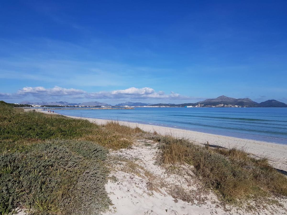 منزل الضيف الكوذيا  في Ideal Property Mallorca - Son Fe المظهر الخارجي الصورة